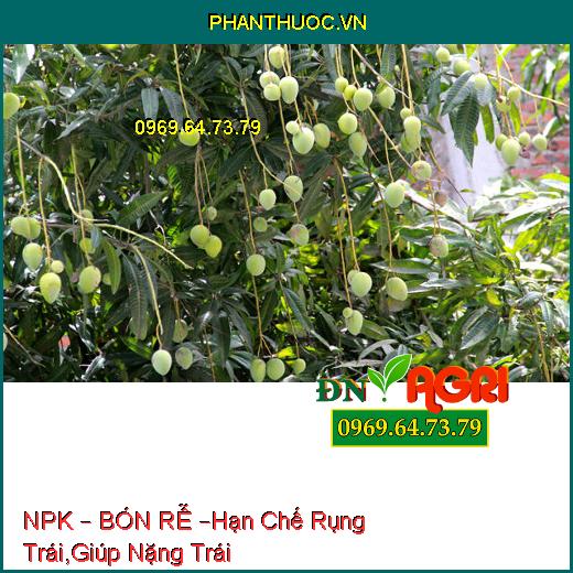 PHÂN BÓN HỖN HỢP NPK – BÓN RỄ –Hạn Chế Rụng Trái, Vàng Lá, Giúp Nặng Trái