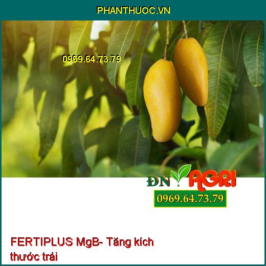 FERTIPLUS MgB- Phân Bón Lá Hữu Cơ Khoáng Tăng Tỷ Lệ Đậu Trái