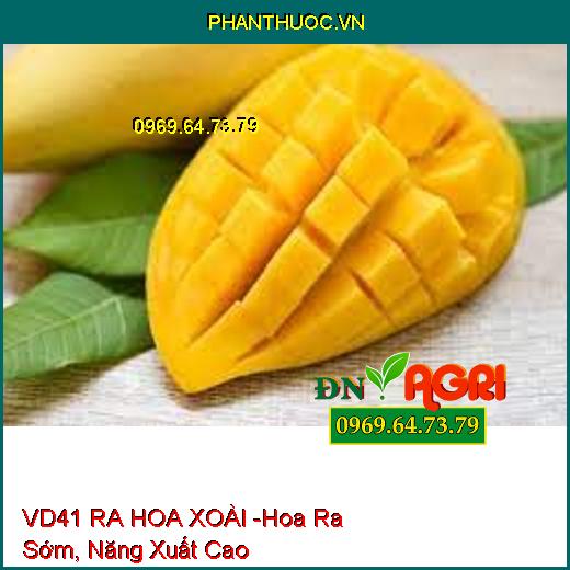 PHÂN BÓN VI LƯỢNG VD41 RA HOA XOÀI -Giúp Hoa Ra Sớm, Đảm Bảo Năng Xuất Cao