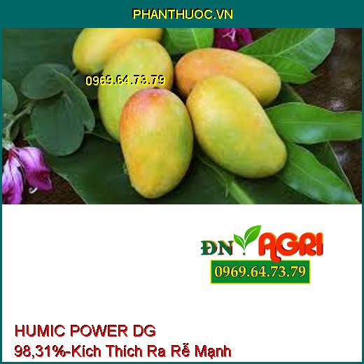 HUMIC POWER DG 98,31%- Phân Bón Hữu Cơ Kích Thích Ra Rễ Cực Mạnh