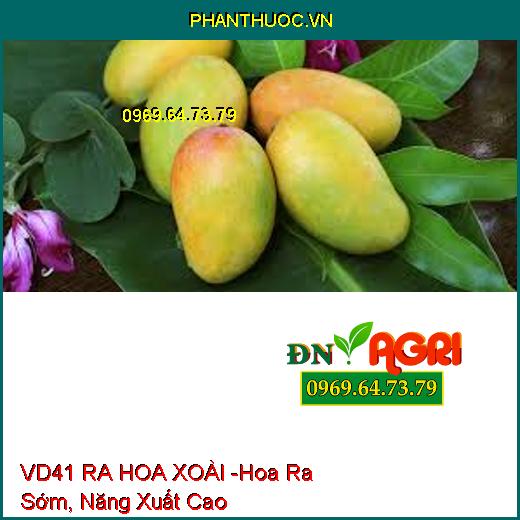 PHÂN BÓN VI LƯỢNG VD41 RA HOA XOÀI -Giúp Hoa Ra Sớm, Đảm Bảo Năng Xuất Cao