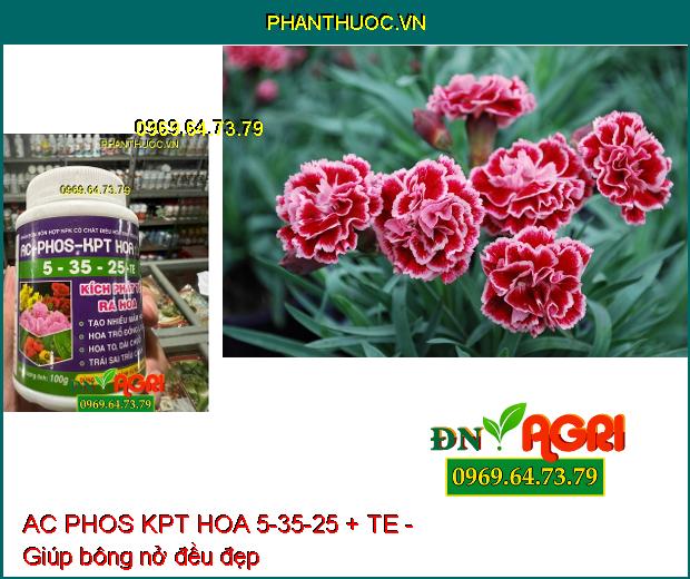 PHÂN BÓN HỖN HỢP NPK AC PHOS KPT HOA 5-35-25 + TE - Kích Phát Tố Ra Hoa