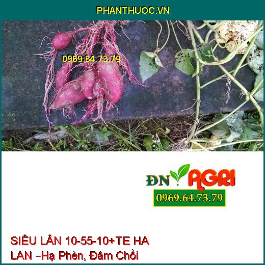 PHÂN BÓN LÁ CAO CẤP  SIÊU LÂN 10-55-10+TE HA LAN –Hạ Phèn, Đâm Chồi, Nhiều Hoa