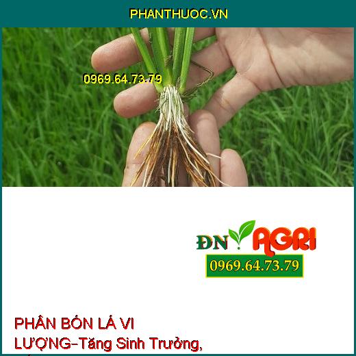 PHÂN BÓN LÁ VI LƯỢNG –Chống Chịu Khí Hậu, Tăng Sinh Trưởng, Cung Cấp Vi Lượng