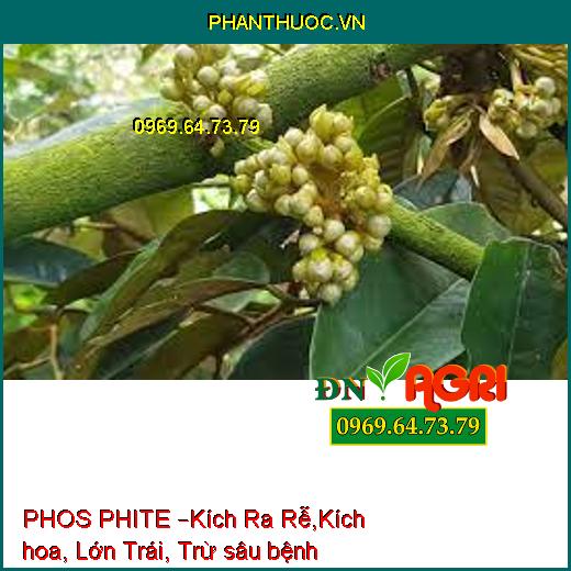 PHOS PHITE –Kích Ra Rễ,Kích hoa, Lớn Trái, Trừ sâu bệnh