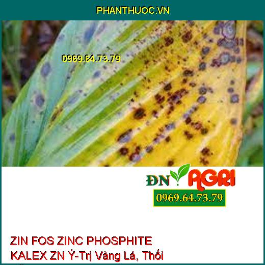 ZIN FOS ZINC PHOSPHITE KALEX ZN Ý-Trị Vàng Lá, Thối Rễ