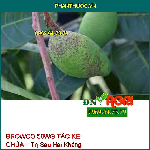 BROWCO 50WG TẮC KÈ CHÚA – Trị Sâu Hại Kháng Thuốc