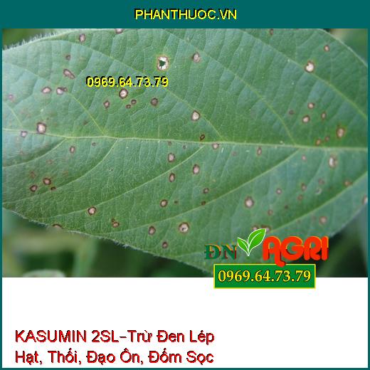 KASUMIN 2SL–Trừ Đen Lép Hạt, Thối, Đạo Ôn, Đốm Sọc