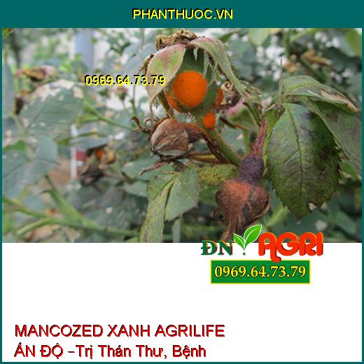 MANCOZED XANH AGRILIFE ẤN ĐỘ –Trị Thán Thư, Bệnh Ghẻ