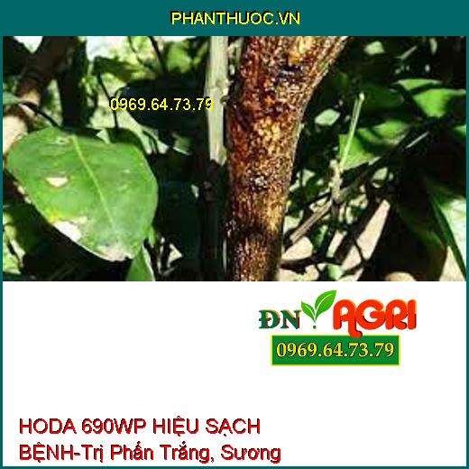 HODA 690WP HIỆU SẠCH BỆNH-Trị Phấn Trắng, Sương Mai