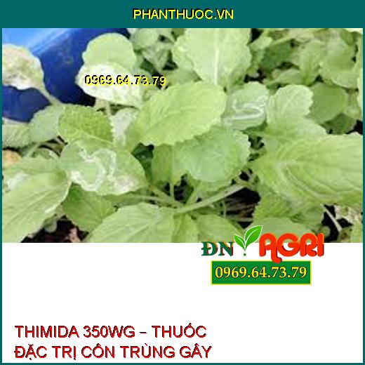 THIMIDA 350WG – THUỐC ĐẶC TRỊ CÔN TRÙNG GÂY HẠI