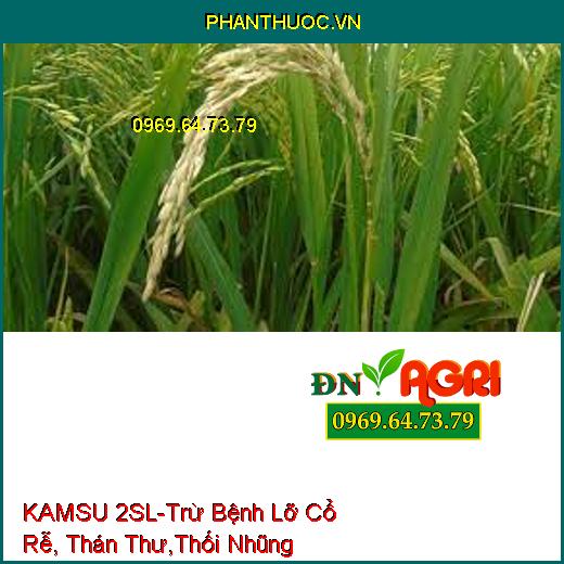 KAMSU 2SL-Trừ Bệnh Lỡ Cổ Rễ, Thán Thư,Thối Nhũng