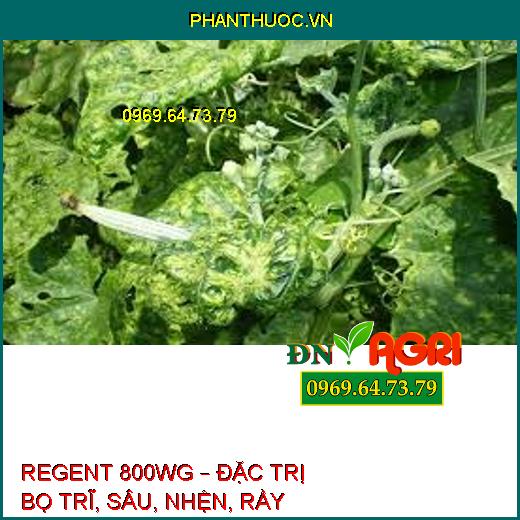 REGENT 800WG – ĐẶC TRỊ BỌ TRĨ, SÂU, NHỆN, RẦY