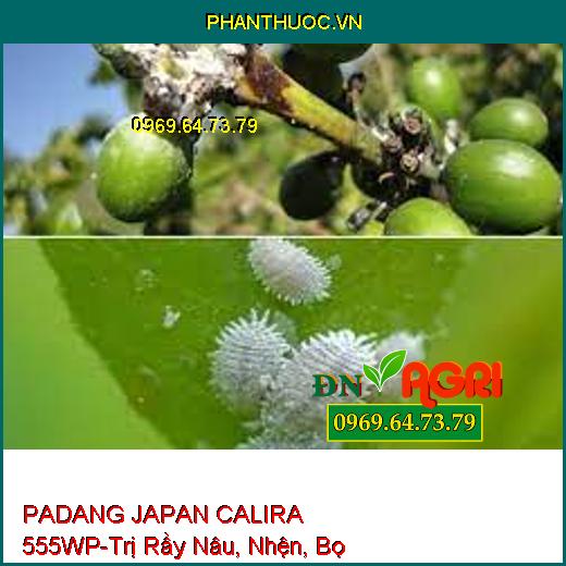 PADANG JAPAN CALIRA 555WP-Trị Rầy Nâu, Nhện, Bọ Trĩ