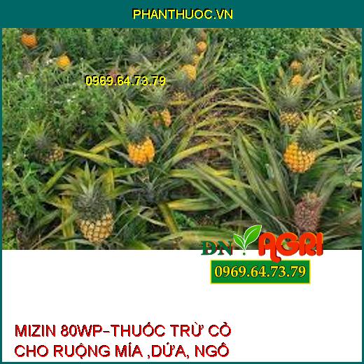 MIZIN 80WP–THUỐC TRỪ CỎ CHO RUỘNG MÍA ,DỨA, NGÔ