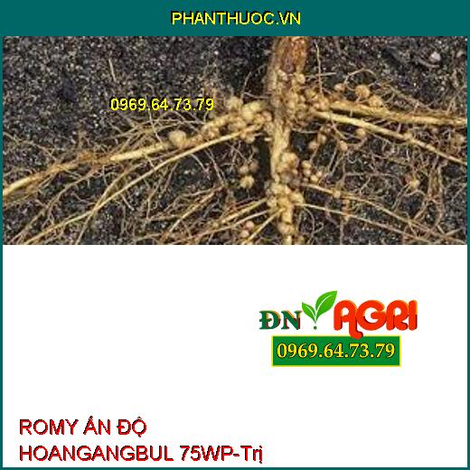 ROMY ẤN ĐỘ HOANGANGBUL 75WP-Trị Sương Mai, Xì Mủ