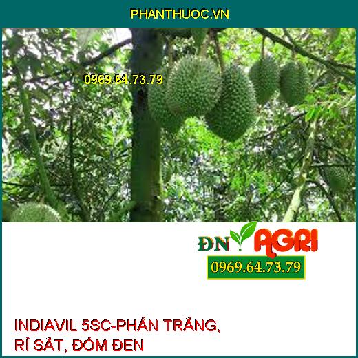 INDIAVIL 5SC-PHẤN TRẮNG, RỈ SẮT, ĐỐM ĐEN