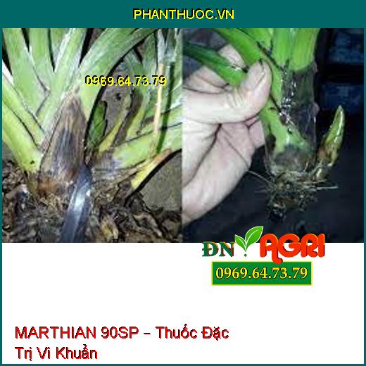 MARTHIAN 90SP – Thuốc Đặc Trị Vi Khuẩn