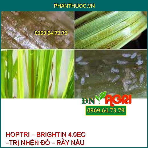 HOPTRI – BRIGHTIN 4.0EC –TRỊ NHỆN ĐỎ – RẦY NÂU