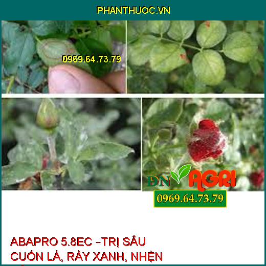 ABAPRO 5.8EC –TRỊ SÂU CUỐN LÁ, RẦY XANH, NHỆN ĐỎ