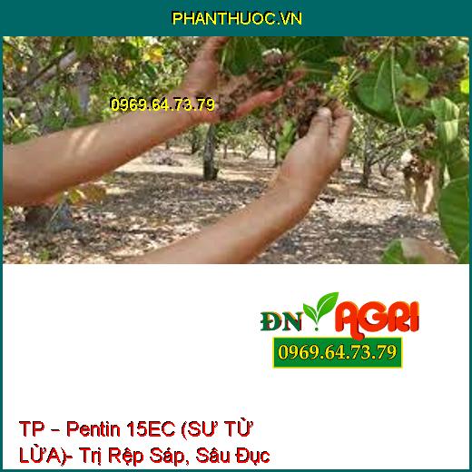 TP – Pentin 15EC (SƯ TỬ LỬA)- Trị Rệp Sáp, Sâu Đục Thân