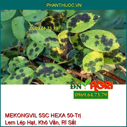 MEKONGVIL 5SC HEXA 50-Trị Lem Lép Hạt, Khô Vằn, Rỉ Sắt