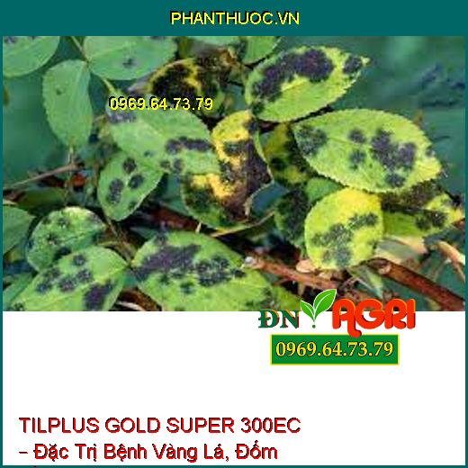 TILPLUS GOLD SUPER 300EC – Đặc Trị Bệnh Vàng Lá, Đốm Vằn