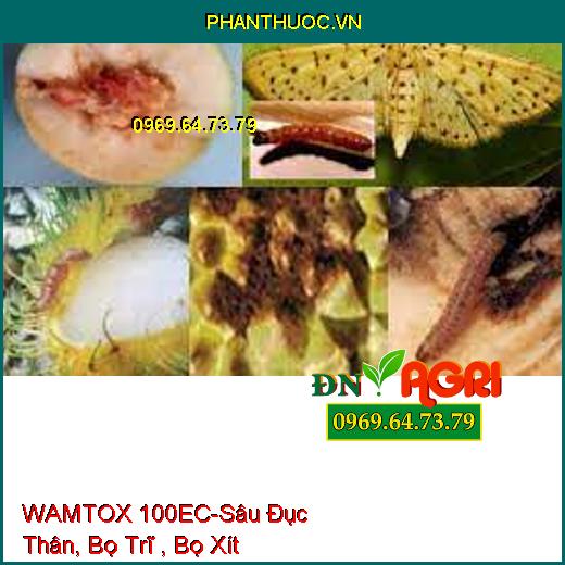 WAMTOX 100EC-Sâu Đục Thân, Bọ Trĩ , Bọ Xít