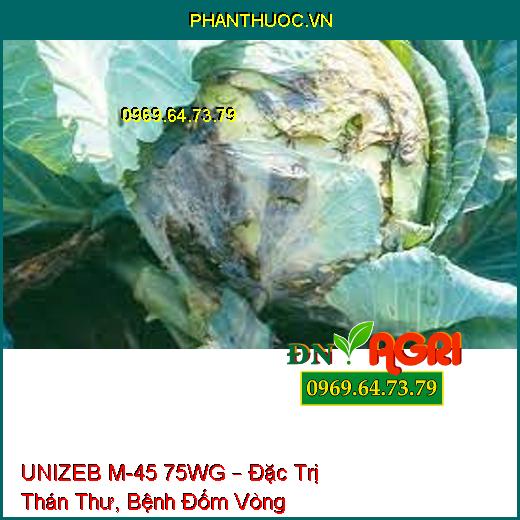 UNIZEB M-45 75WG – Đặc Trị Thán Thư, Bệnh Đốm Vòng