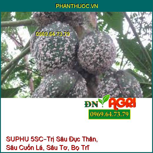 SUPHU 5SC–Trị Sâu Đục Thân, Sâu Cuốn Lá, Sâu Tơ, Bọ Trĩ