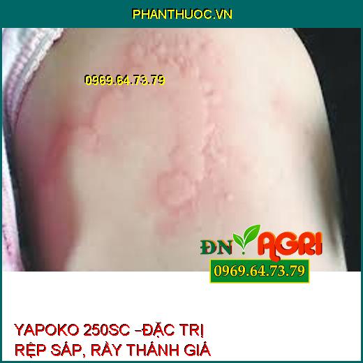 YAPOKO 250SC –ĐẶC TRỊ RỆP SÁP, RẦY THÁNH GIÁ