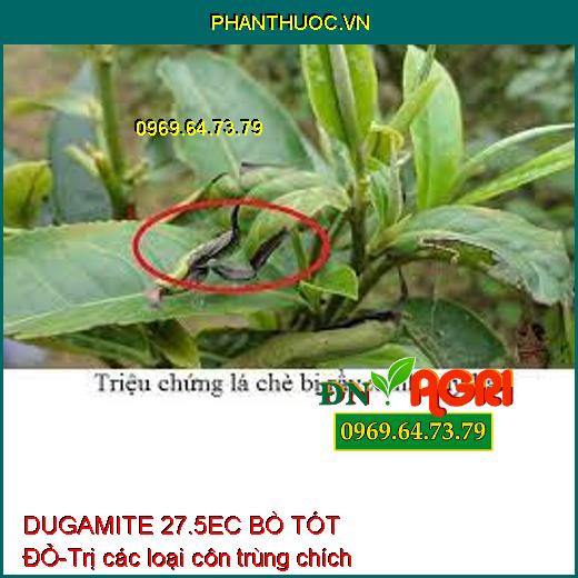 DUGAMITE 27.5EC BÒ TÓT ĐỎ-Trị các loại côn trùng chích hút 