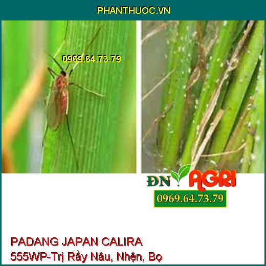 PADANG JAPAN CALIRA 555WP-Trị Rầy Nâu, Nhện, Bọ Trĩ