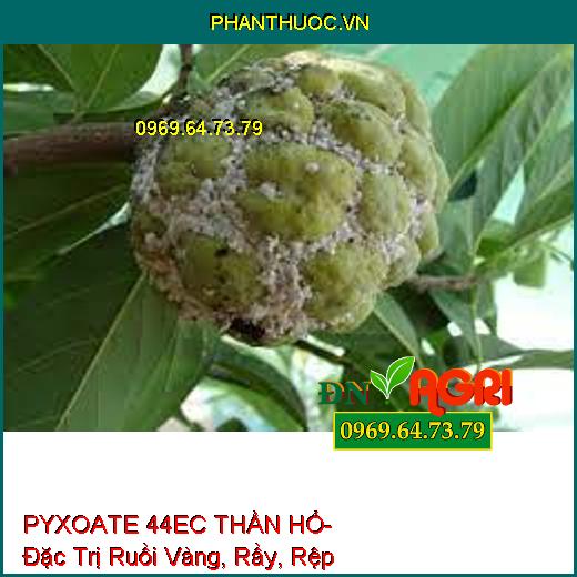 PYXOATE 44EC THẦN HỔ- Đặc Trị Ruồi Vàng, Rầy, Rệp