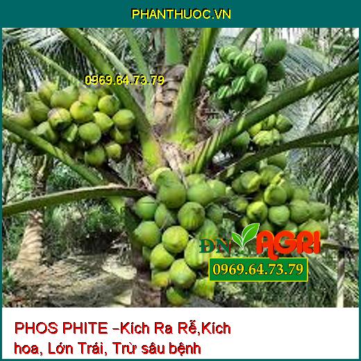 PHOS PHITE –Kích Ra Rễ,Kích hoa, Lớn Trái, Trừ sâu bệnh