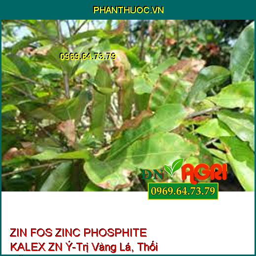 ZIN FOS ZINC PHOSPHITE KALEX ZN Ý-Trị Vàng Lá, Thối Rễ