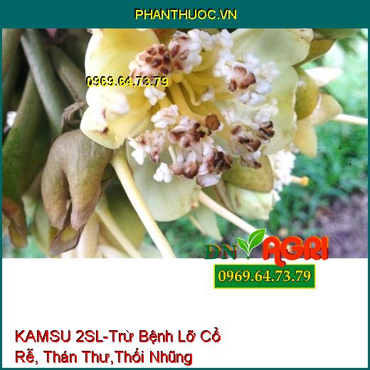 KAMSU 2SL-Trừ Bệnh Lỡ Cổ Rễ, Thán Thư,Thối Nhũng