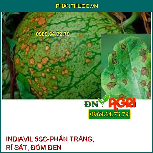 INDIAVIL 5SC-PHẤN TRẮNG, RỈ SẮT, ĐỐM ĐEN