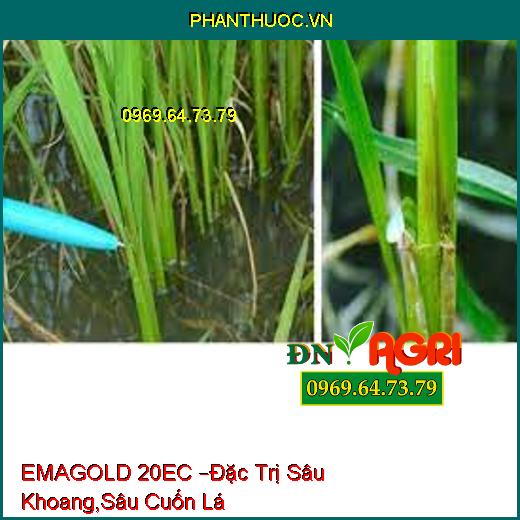 EMAGOLD 20EC –Đặc Trị Sâu Khoang,Sâu Cuốn Lá