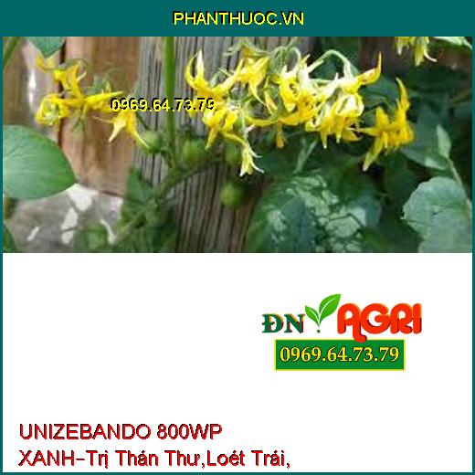 UNIZEBANDO 800WP XANH–Trị Thán Thư,Loét Trái, Sương Mai