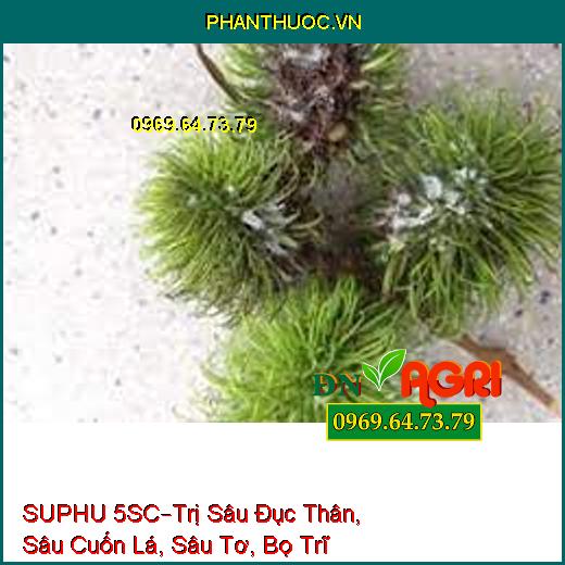 SUPHU 5SC–Trị Sâu Đục Thân, Sâu Cuốn Lá, Sâu Tơ, Bọ Trĩ