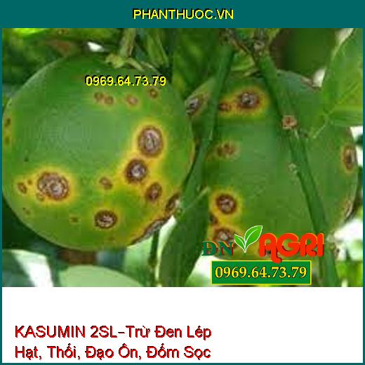 KASUMIN 2SL–Trừ Đen Lép Hạt, Thối, Đạo Ôn, Đốm Sọc