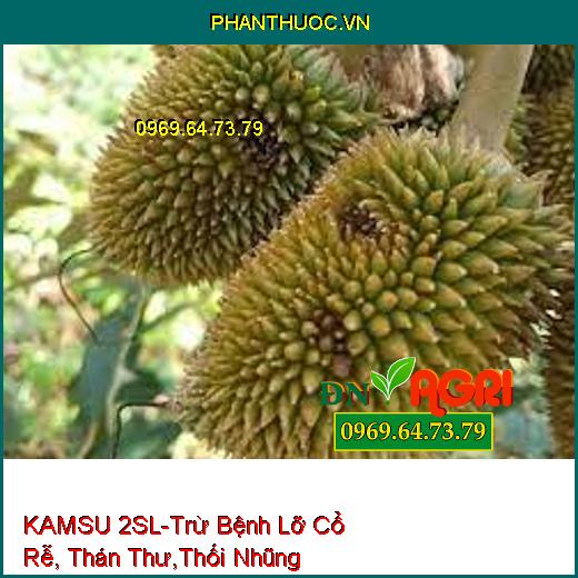 KAMSU 2SL-Trừ Bệnh Lỡ Cổ Rễ, Thán Thư,Thối Nhũng