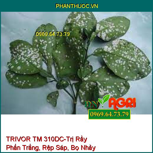 TRIVOR TM 310DC-Trị Rầy Phấn Trắng, Rệp Sáp, Bọ Nhảy