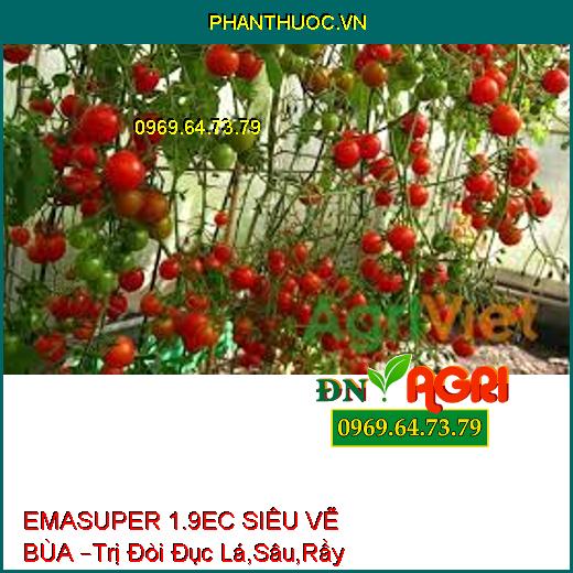 EMASUPER 1.9EC SIÊU VẼ BÙA –Trị Đòi Đục Lá,Sâu,Rầy