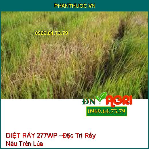 DIỆT RẦY 277WP –Đặc Trị Rầy Nâu Trên Lúa