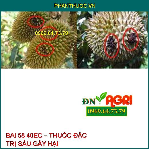 BAI 58 40EC – THUỐC ĐẶC TRỊ SÂU GÂY HẠI