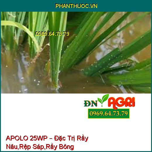 APOLO 25WP – Đặc Trị Rầy Nâu,Rệp Sáp,Rầy Bông