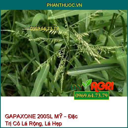 GAPAXONE 200SL MỸ – Đặc Trị Cỏ Lá Rộng, Lá Hẹp