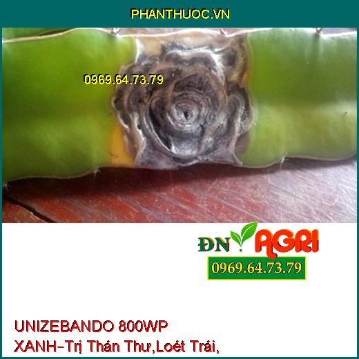 UNIZEBANDO 800WP XANH–Trị Thán Thư,Loét Trái, Sương Mai